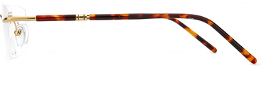 Men Cristal Eyeglasses: Curry - Gold - SpecSMART Eye Clinic (Side View)